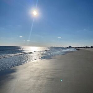 Meet your Posher, Carol